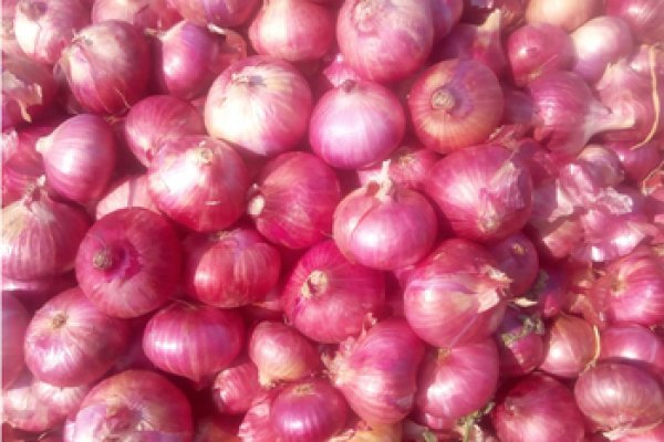 Омг onion